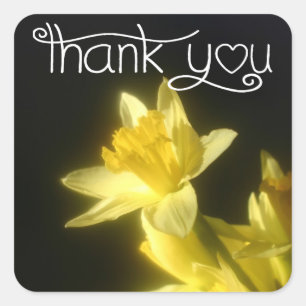 Floral Thank Yellow Daffodil Flower Black Square Sticker