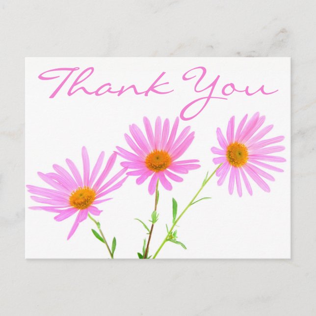 Floral Thank You Pink Lavender Daisy Flowers Postcard (Front)
