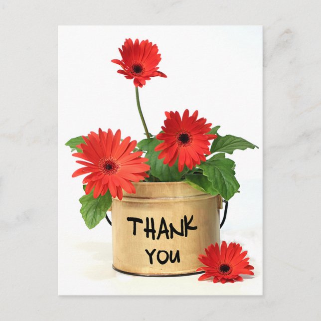 Floral Thank You Red Gerbera Daisy Flowers Postcard (Front)