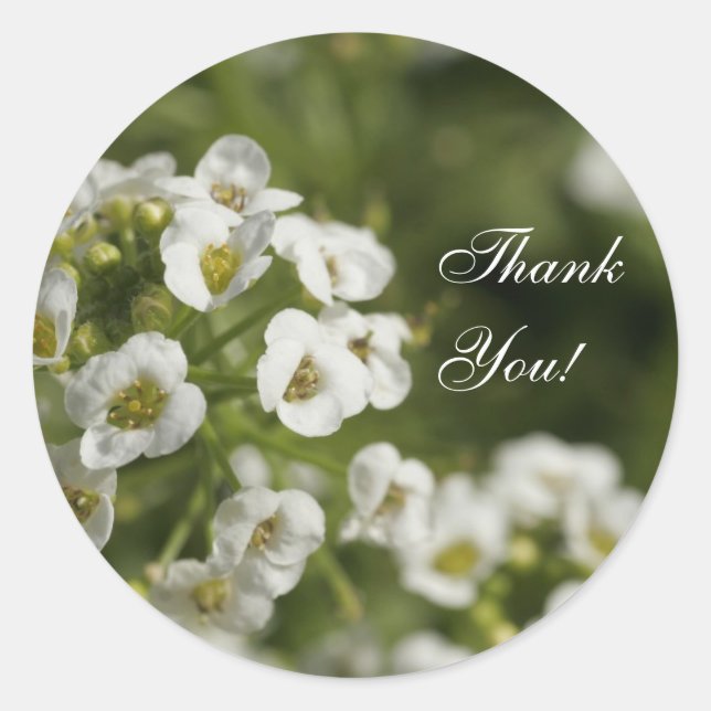 Floral Thank You Stickers (Front)