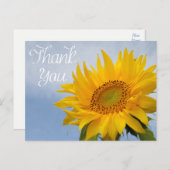 Floral Thank You Sunflower Yellow Flower Blue Sky Postcard (Front/Back)
