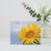 Floral Thank You Sunflower Yellow Flower Blue Sky Postcard (Standing Front)
