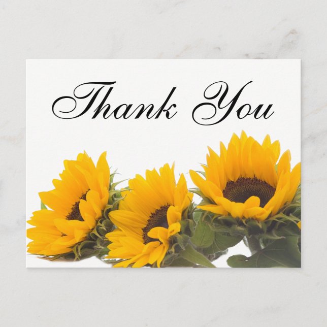 Floral Thank You Sunflower Yellow Green Flowers Postcard (Front)