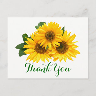 Floral Thank You Sunflower Yellow & Green Flowers Postcard