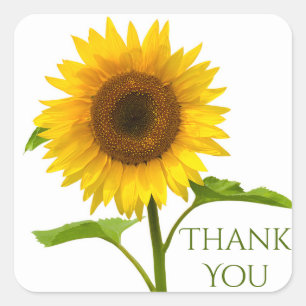 Floral Thank You Yellow & Green Sunflower Flower Square Sticker