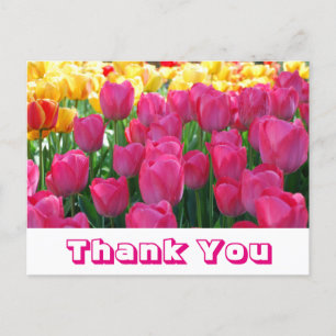 Floral Thank You Yellow & Pink Tulip Flowers Postcard