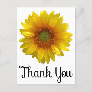 Floral Thank You Yellow Sunflower Flower Postcard