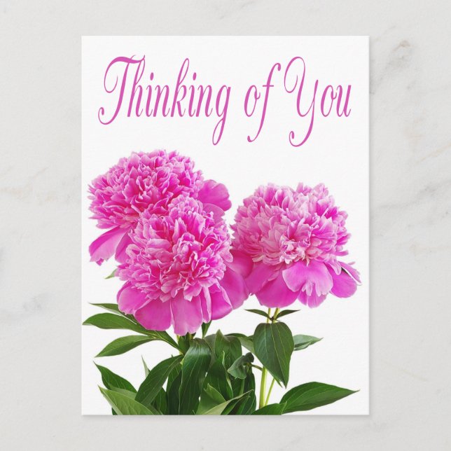 Floral Thinking Of You Pink Peony Flower Postcard (Front)