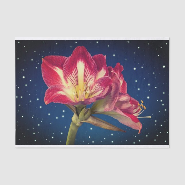  Floral Tissue Paper (Front)