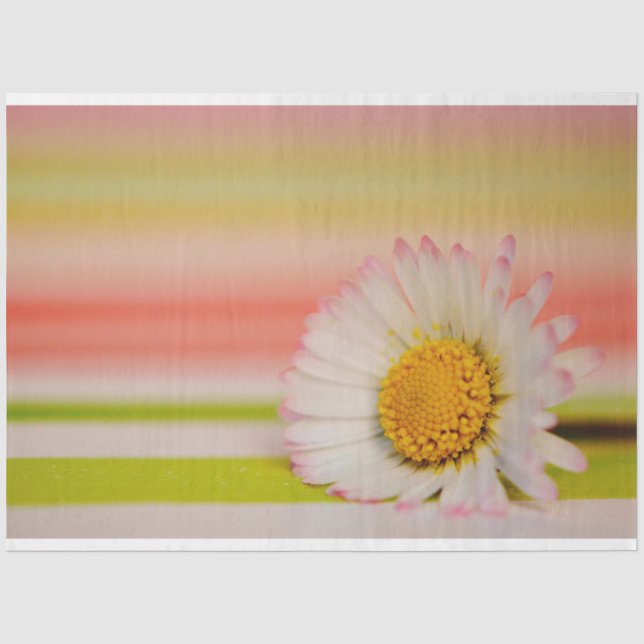 Floral  Tissue Paper (Front)
