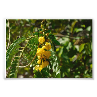 Floral Treasures Photo Print