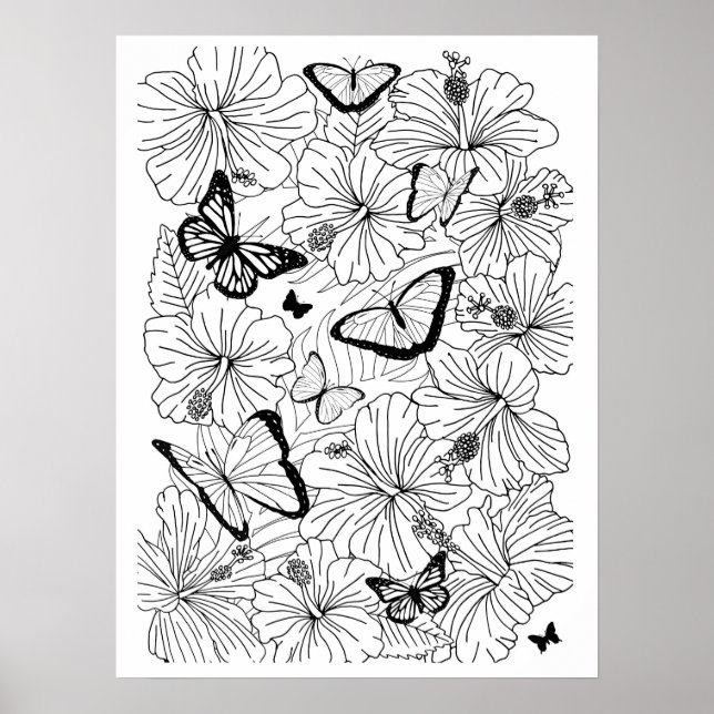Floral Tropical Hibiscus and Butterflies Colouring Poster (Front)