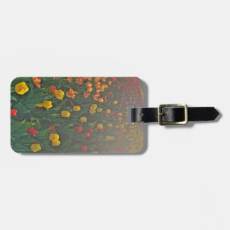 Floral Tulip Luggage Tag