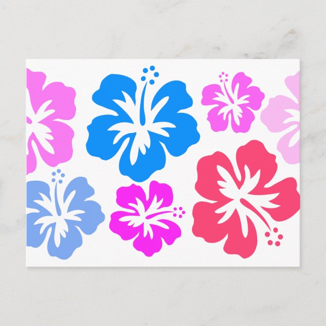 Floral und pink postcard (Front)