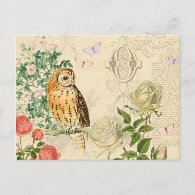 Floral vintage owl postcard with beautiful roses (Front)