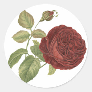 Floral Vintage Red Burgundy Rose Flower - Wedding Classic Round Sticker