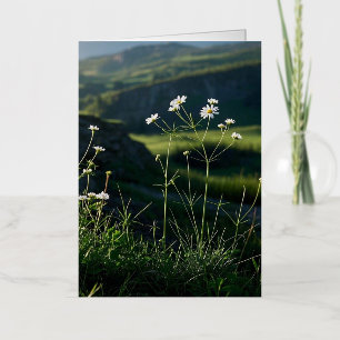 Floral White Daisy Nature Landscape  Foil Greeting Card