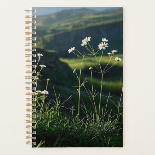 Floral White Daisy Nature Landscape Planner