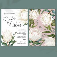 Floral White Protea Native Flowers Wedding