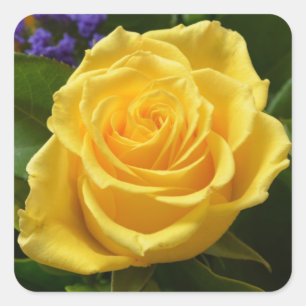Floral Yellow Rose And Purple Flowers Square Sticker