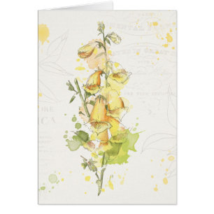 Floral Yellow Splash