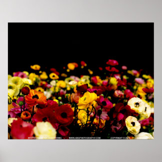 Floralscape/JSKCA001 Poster