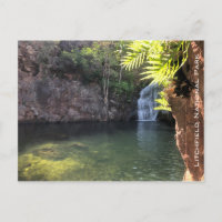 florence falls litchfield