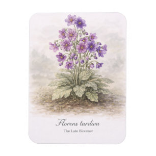 Florens tardiva The Late Bloomer Botanical Magnet