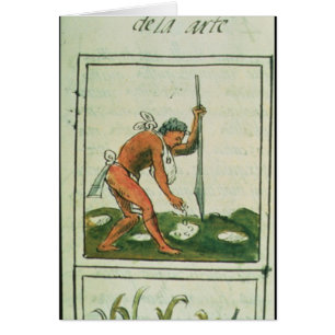 Florentine Codex' by Bernardino de Sahagun