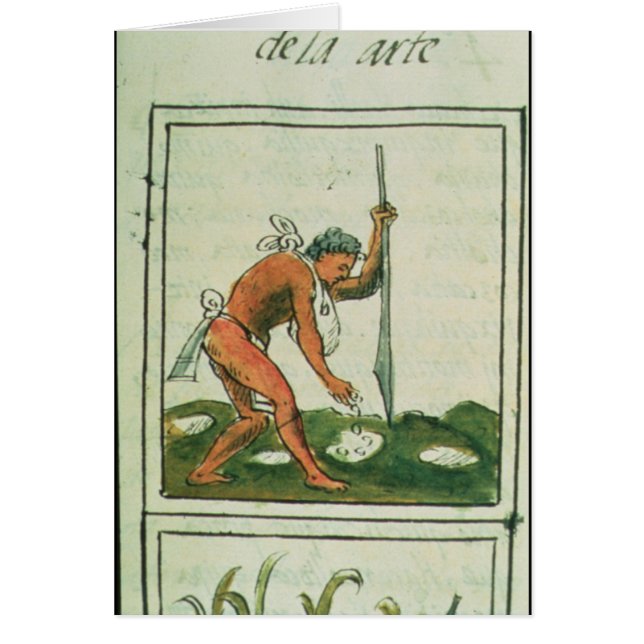 Florentine Codex' by Bernardino de Sahagun (Front)