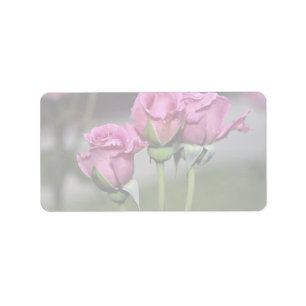 Floribunda 'Angel Face' Roses Label