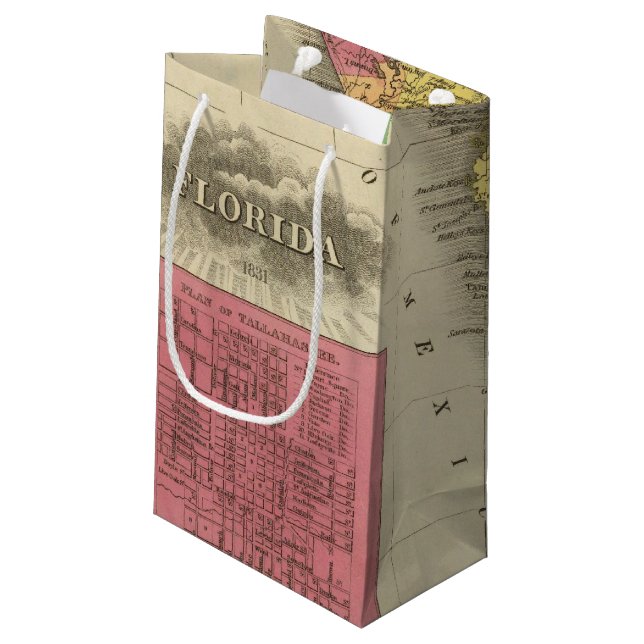 Florida 10 2 small gift bag (Back Angled)