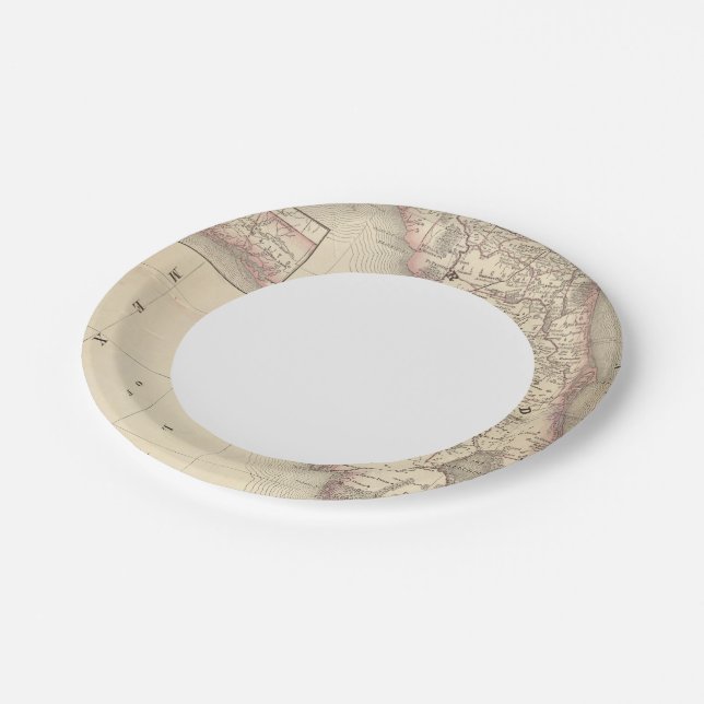 Florida 10 paper plate (Angled)