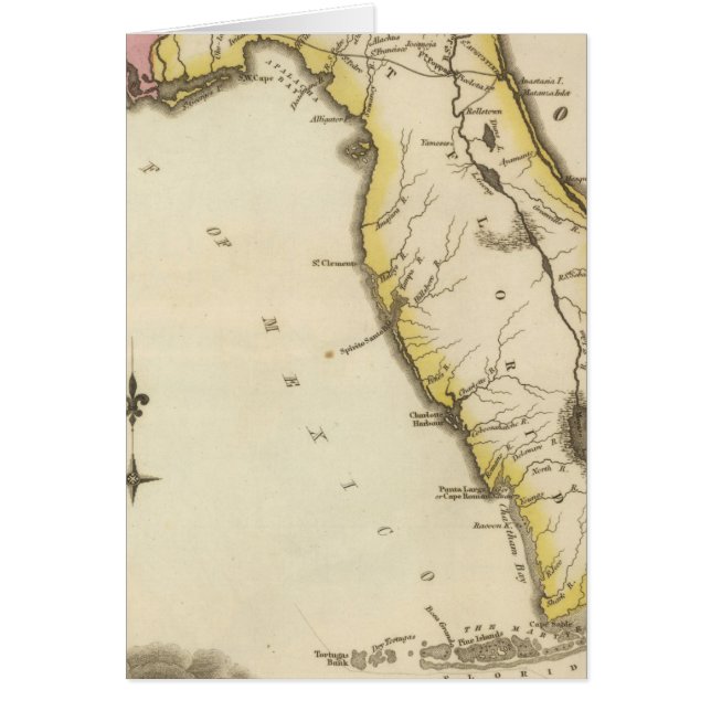 Florida 15 (Front)