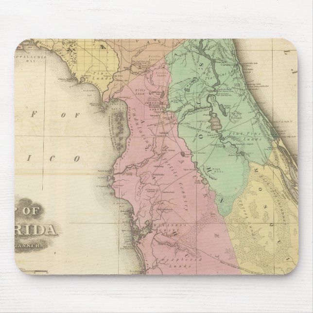 Florida 4 mouse pad (Front)