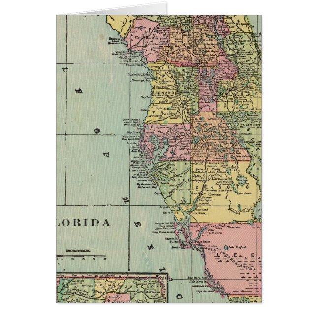 Florida 5 (Front)