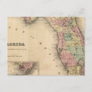 Florida 6 postcard