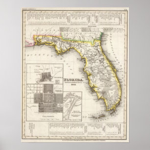 Florida 8 poster