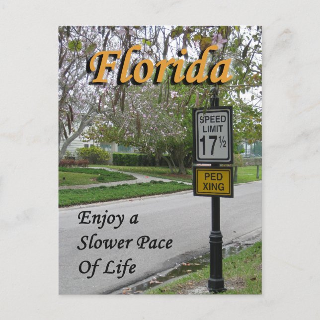 Florida: a Slower Pace Postcard (Front)