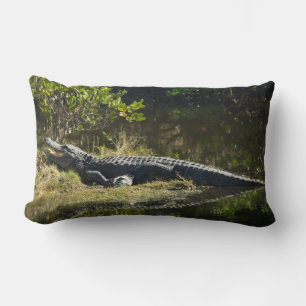Florida Alligator on Grassy Bank – Wild Swamp Lumbar Cushion