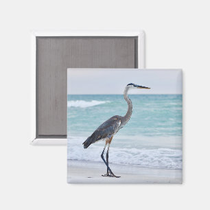 Florida beach birds magnet