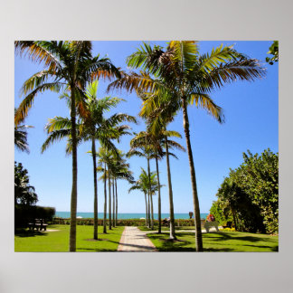 FLORIDA BEACH PALM TREES TROPICAL  PARK POSTER