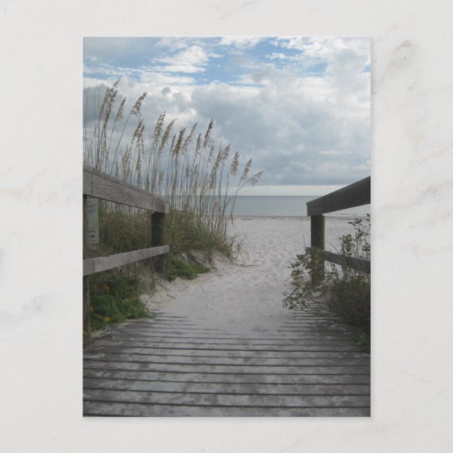 Florida Beach Path Postcard (Front)