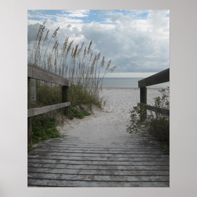 Florida Beach Path Poster (Front)