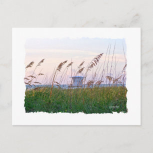 Florida beach pink and purple sunset postcard