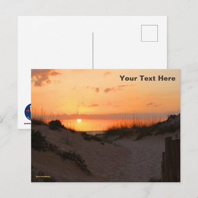 Florida Beach Sunset Postcard (Front/Back)