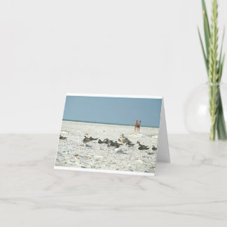 Florida Beach with seagulls fine art photography Thank You Card