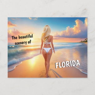 Florida -beautiful scenery postcard