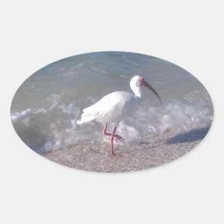 Florida birds oval sticker