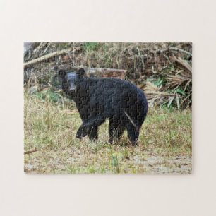Florida Black Bear Jigsaw Puzzle